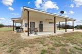 175 Pine Tree - Photo 6