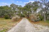 2147 Tejas Trail - Photo 5