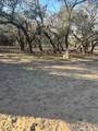 1375 Peaceful Ln - Photo 3