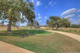 1512 Neumann's Pt. - Photo 40