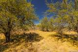 726 Tierra Linda - Photo 31