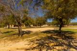 726 Tierra Linda - Photo 34