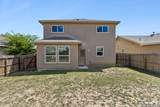3522 Palmetto Pass - Photo 32