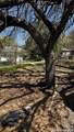 535 Twin Elm - Photo 2