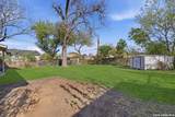 527 Dickson - Photo 19