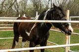 8463 Barron - Photo 102