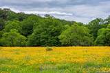 1589 Fm 1340 - Photo 7