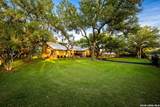 29274 Seabiscuit Dr - Photo 5