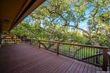 29274 Seabiscuit Dr - Photo 60