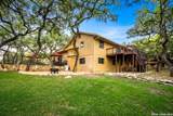 29274 Seabiscuit Dr - Photo 67