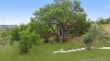 1900 Byrd Ranch - Photo 35