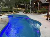 828 Shady Grove - Photo 46