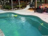 828 Shady Grove - Photo 47