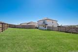 407 Forsythia - Photo 33