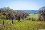 632 Lake Valley - Photo 46