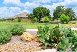 12367 Lost Petal - Photo 16