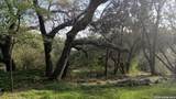 14603 Custer - Photo 3