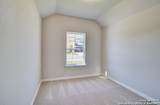 849 Saltbush Street - Photo 14