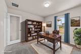 17407 Elder Walnut Drive - Photo 8
