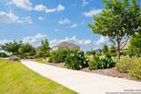12360 Lost Petal - Photo 9