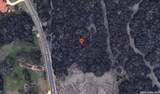 24814 Creek Loop - Photo 16