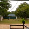 837 Paddy Rd - Photo 49