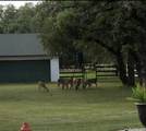 837 Paddy Rd - Photo 50