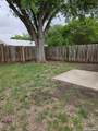 11750 Spring Life - Photo 5