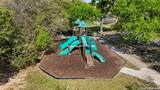 311 Waxberry - Photo 32