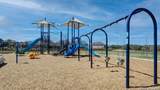 14107 Ravens Cove - Photo 15