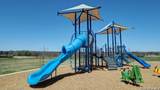 14107 Ravens Cove - Photo 16