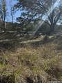 0 White Bluff Rd - Photo 8
