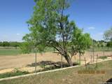 1243 Art Wall Way - Photo 28