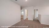 7334 Blue Moon Cove - Photo 16