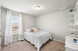 232 Colebrook - Photo 32