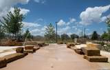 14318 Texas Coral - Photo 15