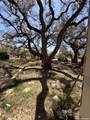 328 Primrose - Photo 14