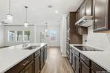 12611 Auriga - Photo 13
