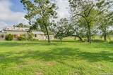 1201 Sisterdale - Photo 15