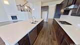 1614 Kosmas Dr - Photo 16