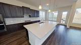 1614 Kosmas Dr - Photo 21