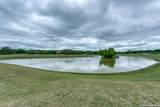 26018 Shady Acres - Photo 46
