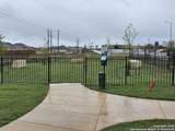 10207 Tulipwood Run - Photo 17