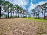213 Bluebonnet Ridge - Photo 40