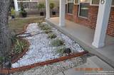 10746 Impala Springs - Photo 4