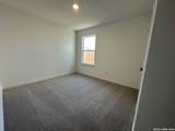 936 Heartseed - Photo 16