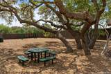 20675 Huebner Rd - Photo 40