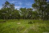 34780 High Gate Rd - Photo 12