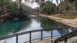 636 Bodark Street - Photo 13
