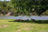 135 Lone Oak - Photo 36